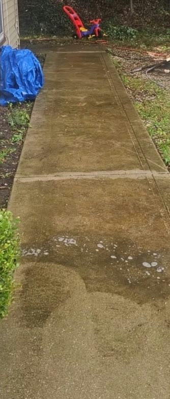 Concrete walkway beside a house covered in green and brown algae before cleaning